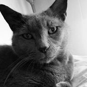 Evelyn Brooks Long's photo