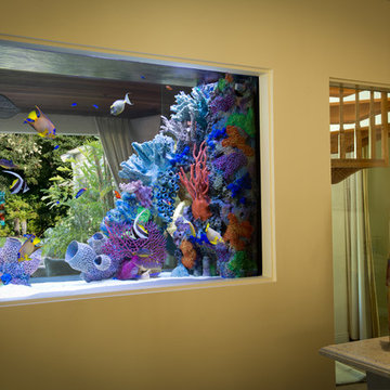A Better Window - 275 gallons In-Wall Aquarium