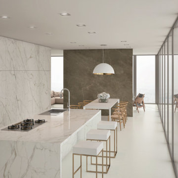 Vena Oro counter and back wall, Pulpis on far wall