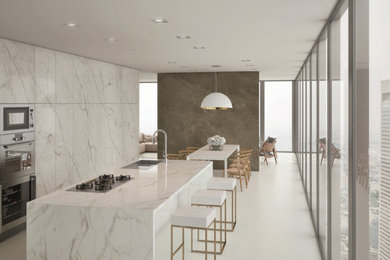 Minimalist porcelain tile kitchen photo in San Francisco with porcelain backsplash