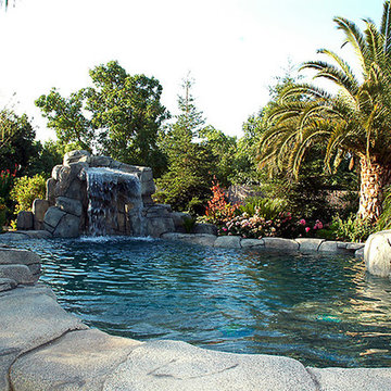 Eclectic Lagoon