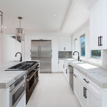 Title: Chef's Kitchen Appliance Wall with Pro Range & Concealed Hood – Newport C