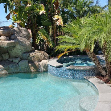 Tropical Pool and Backyard