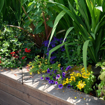 Raised Vegetable Bed / Ornamental Garden 2016