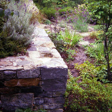 Secret Garden