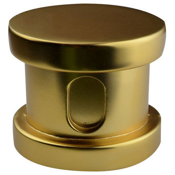 Steamspa Steamhead With Aromatherapy Reservoir, Polished Brass