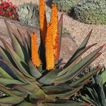 Rancho Santa Fe property