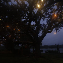 Firefly Lighting - Products
