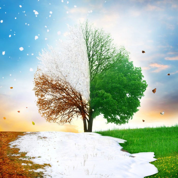 Custom Home Care in Louisiana: Seasonal Maintenance Tips and Tricks