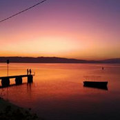 Yane Stojceski's photo