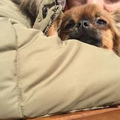 Ni Kirschbold's photo
