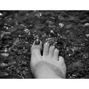Lori Jennings's photo