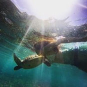Camille Rugayan's photo