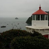 Alicia Hill's photo