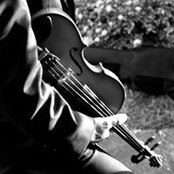 Felipe Solís's photo