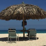 Michele Funk's photo