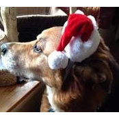 Cindy Walke's photo