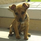 Kenneth Carter's photo