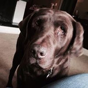 Greg Dolecki's photo