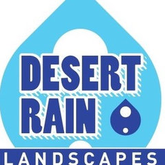 Desert Rain Landscapes