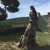 Kim Dowek's photo