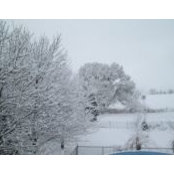 Marietta Stevens's photo