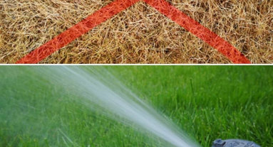 Die 15 Besten Experten Fur Rasen Gartenbewasserung Houzz