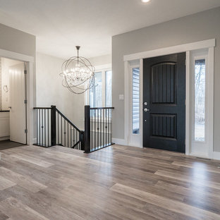 This is an example of a mid-sized modern front door in Edmonton with grey walls, vinyl floors, a single front door, a black front door and multi-coloured floor.