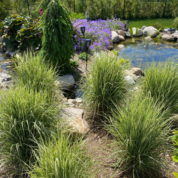 Orchard Lane Pond