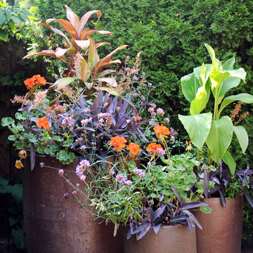 Summer Planters