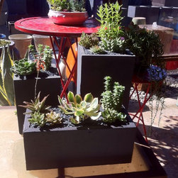 Succulent arrangements - Products
