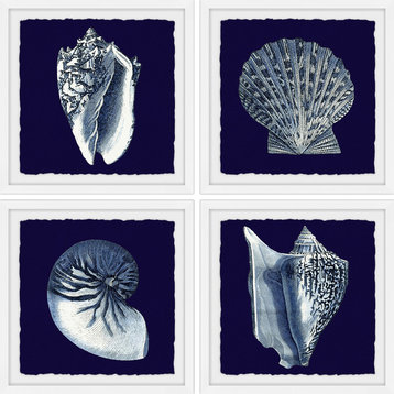 "All About Shells Quadriptych" Framed Painting Prints, 24"x24", 4-Piece Set