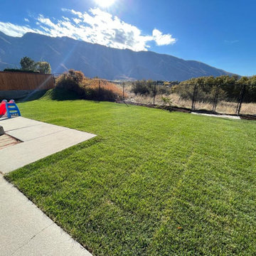 Water Wise Landscape and Window Dry Wells, Sandy
