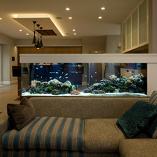 Aquarium