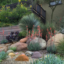 Landscape Ideas