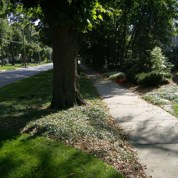 Holt Residence
