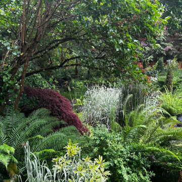 Lovely Vignettes