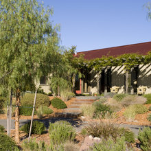 Landscape Ideas