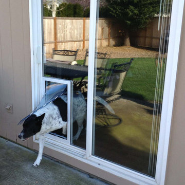 Custom Dog Doors
