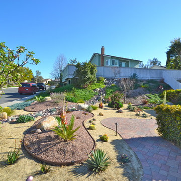 92124-Tierrasanta-Colorful Xeriscape/ Low Water/ Low Maintenance Front Yard