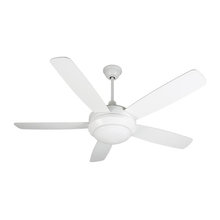 ceiling fans