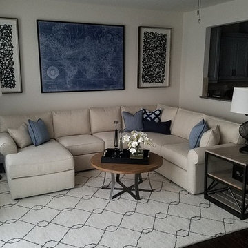 "Edgy" & Monochromatic Living Spaces- Manassas, VA