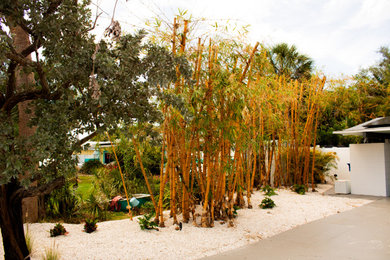 Photo of a tropical landscaping in Other.