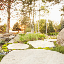 Ground Cover for our Yard