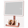 Charmed Arch Tri Tone LED Makeup Mirror with Phone Holder, Rose Gold