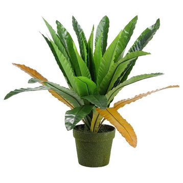 22" Decorative Potted Artificial Green and Brown Bird Nest Fern Plant