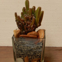 terrazzi