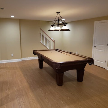 Basement Remodel