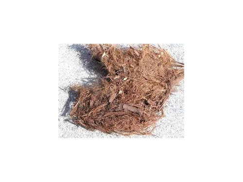 Gorilla Hair Mulch Or Other Mulch Solution For Slope