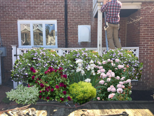 Cottage Garden Design Ideas Nz Cottage Garden Border Layout